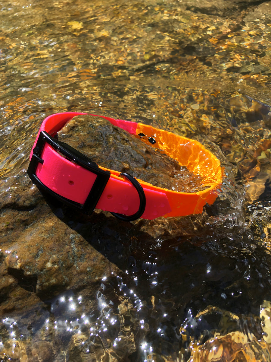 Durable Waterproof Dog Collar (Oyster)