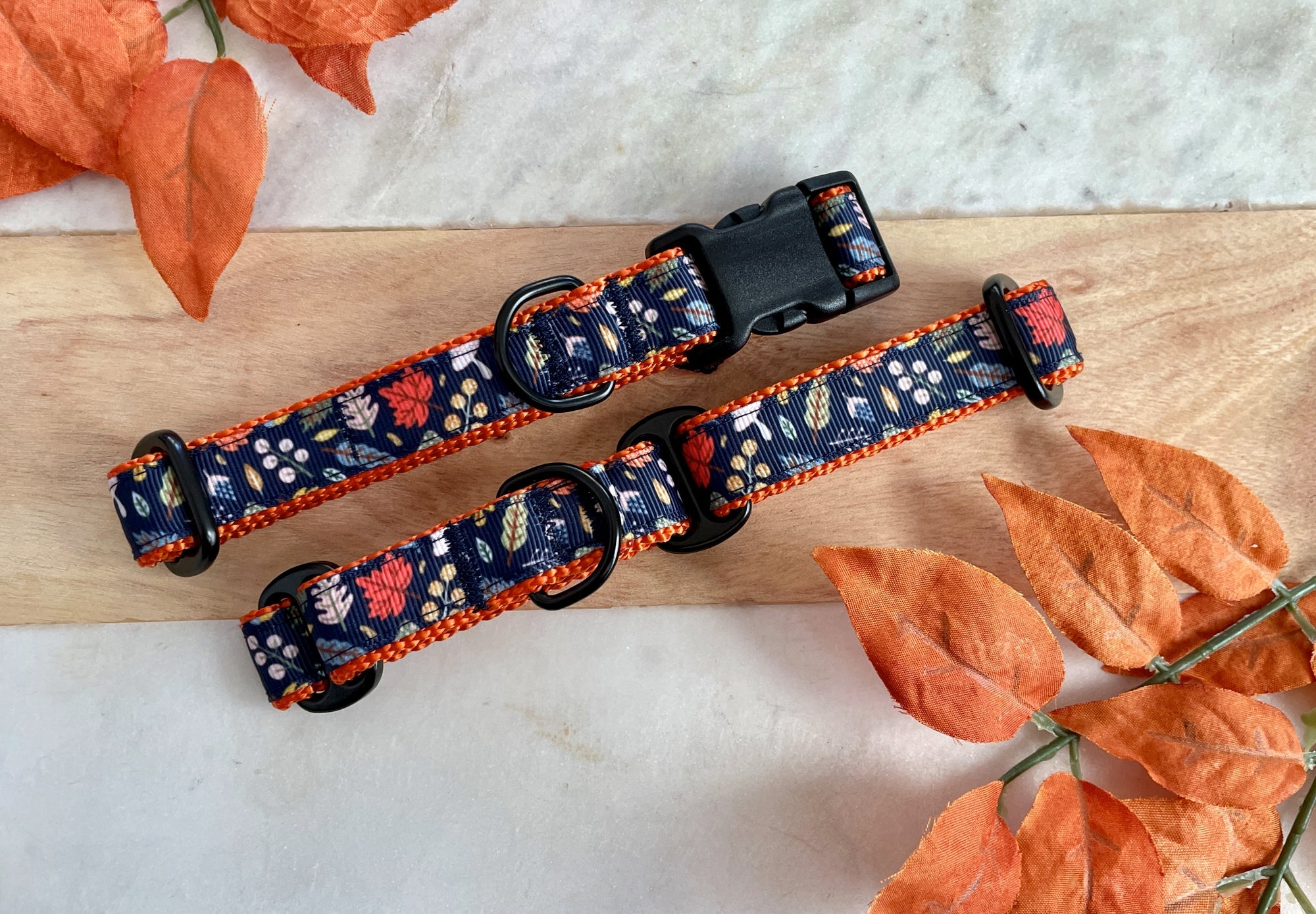 Medium Dog Collars & Leashes