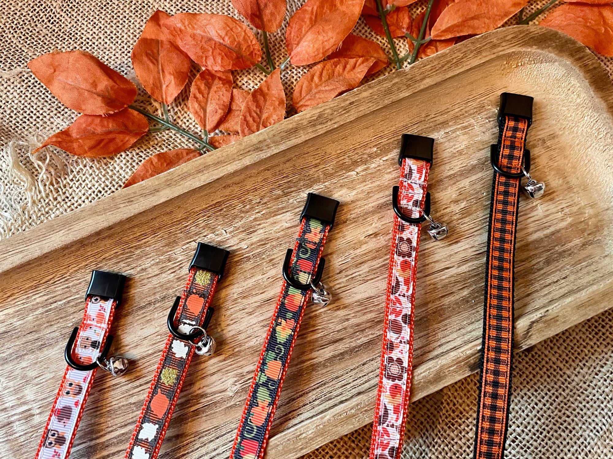 Cat Collars