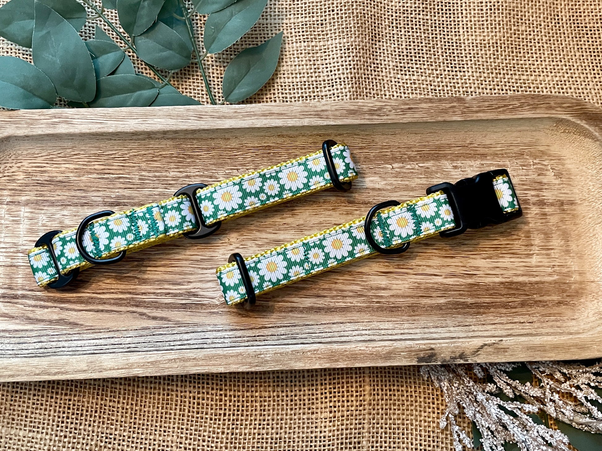 3/4" Daisy