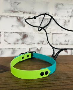 Teal and Lime - Waterproof Dog Collar