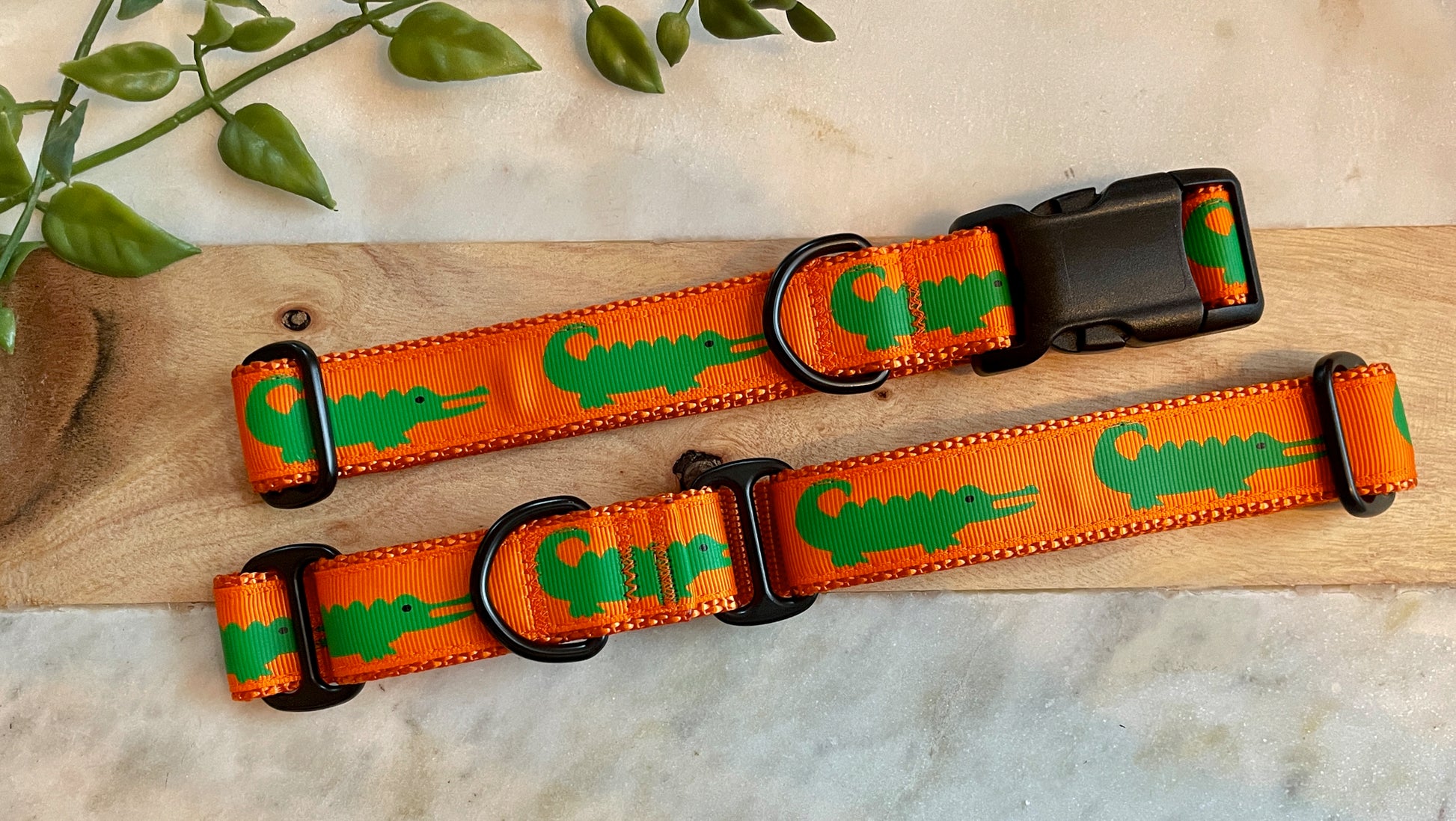 1" Alligator
