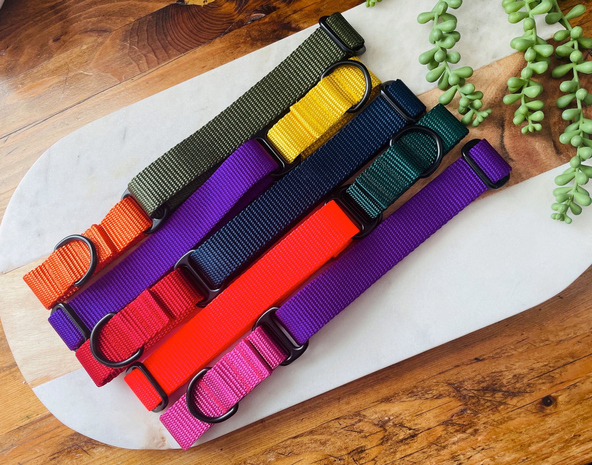 1" Solid Nylon Martingale