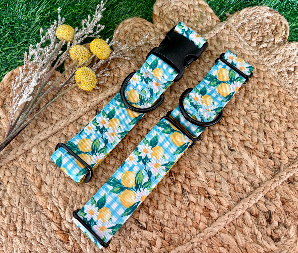 Daisy & Lemons