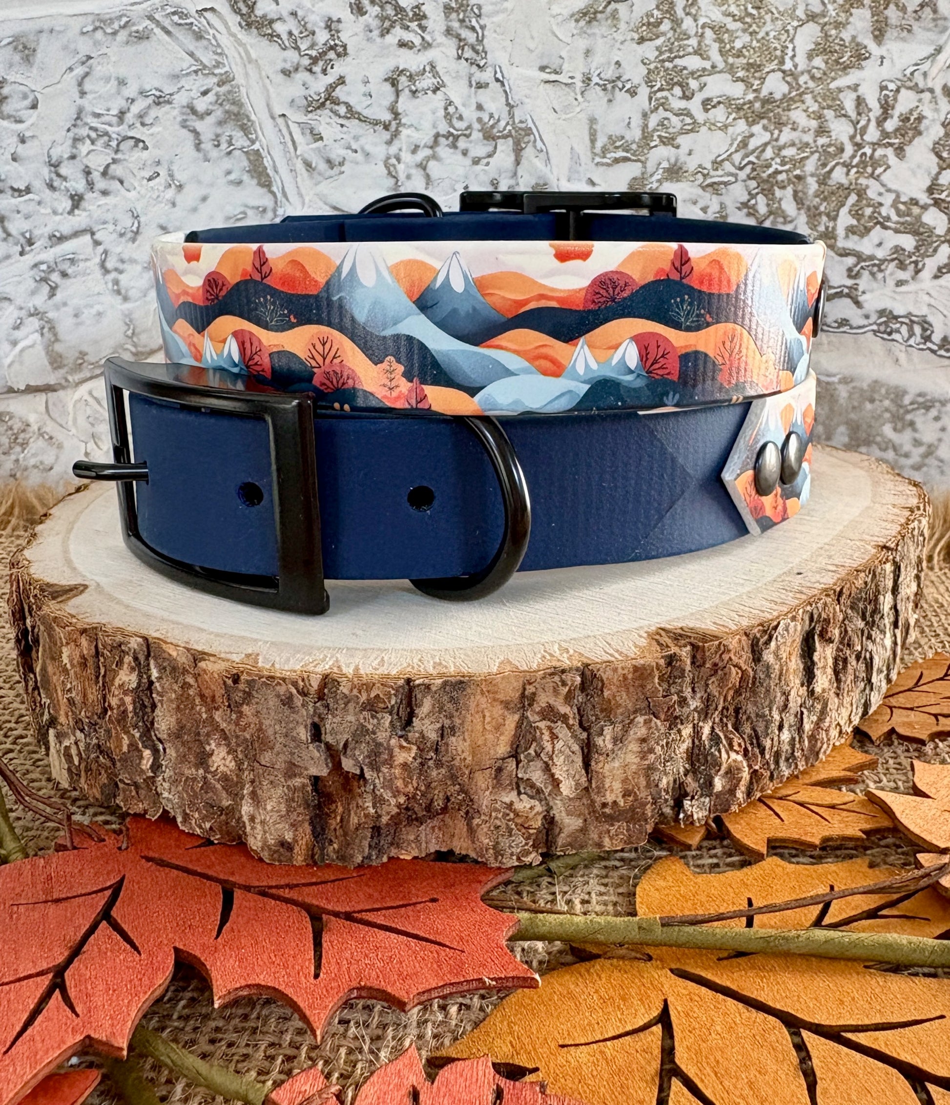 Blueridge  - Waterproof Dog Collar