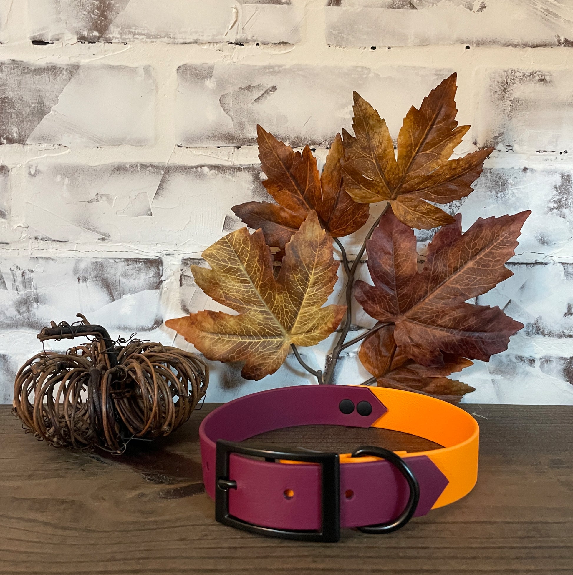 Burgundy and Orange  - Waterproof Dog Collar