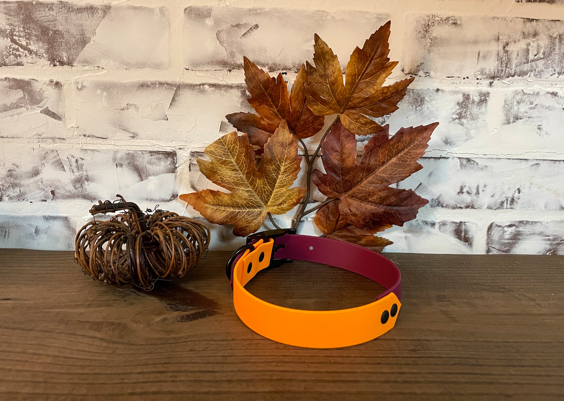 Burgundy and Orange  - Waterproof Dog Collar