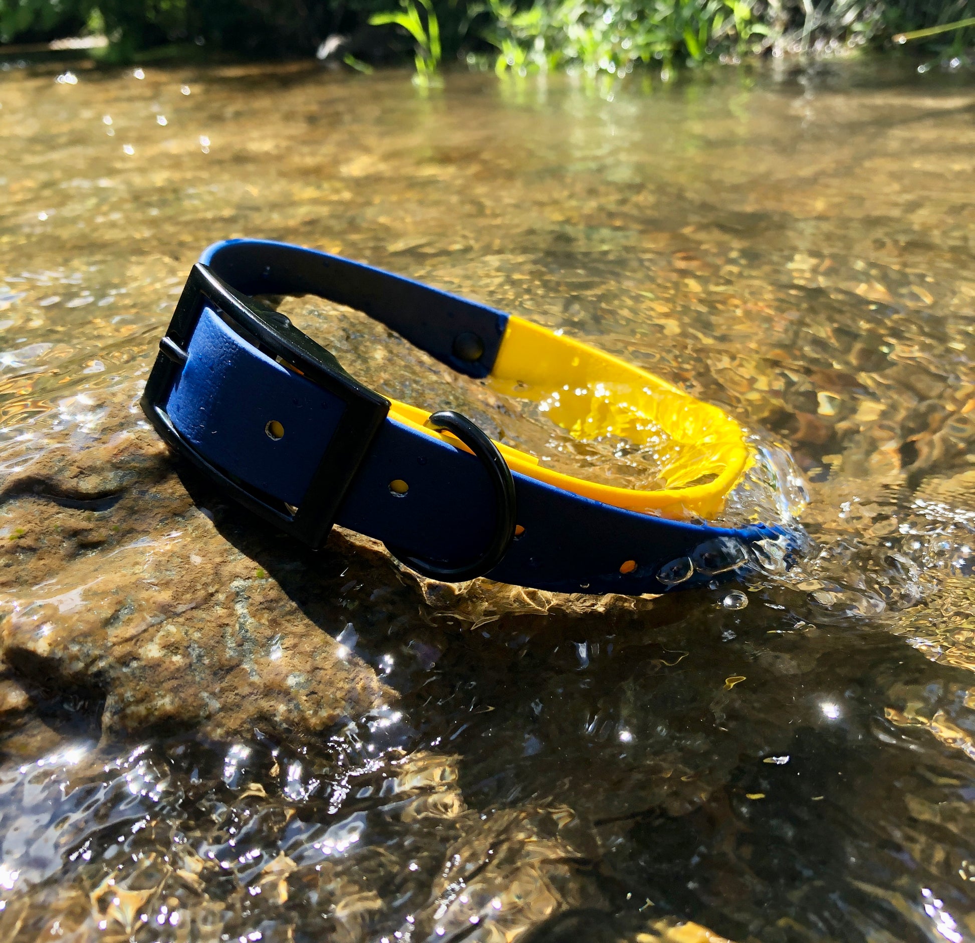 Navy and Yellow - Waterproof Dog Collar