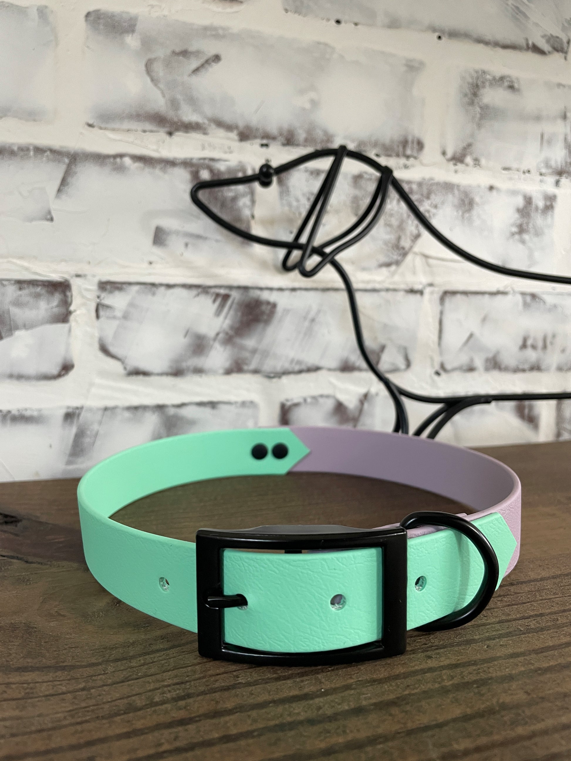 Mint and Lavender  - Waterproof Dog Collar