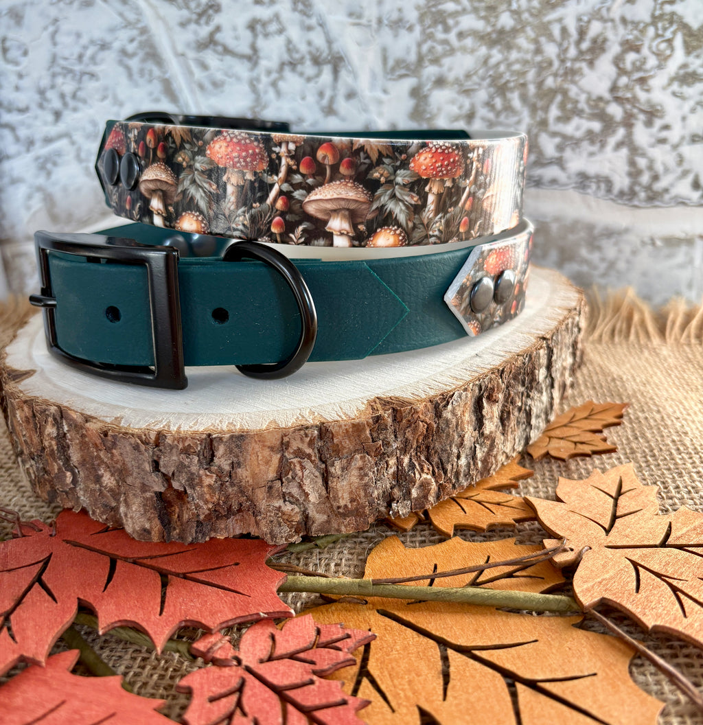 Mushroom Field  - Waterproof Dog Collar