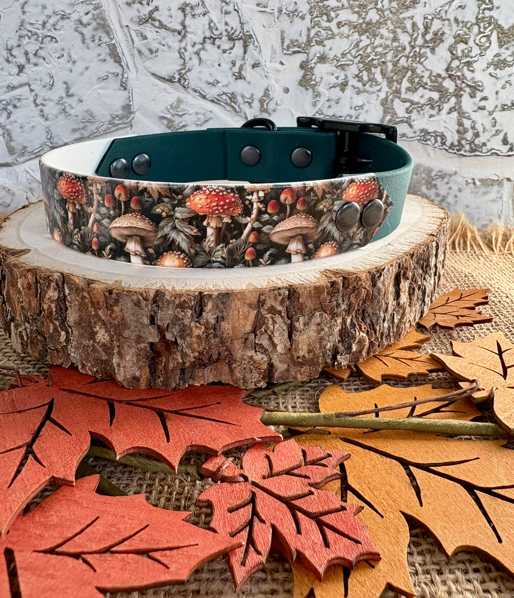 Mushroom Field  - Waterproof Dog Collar