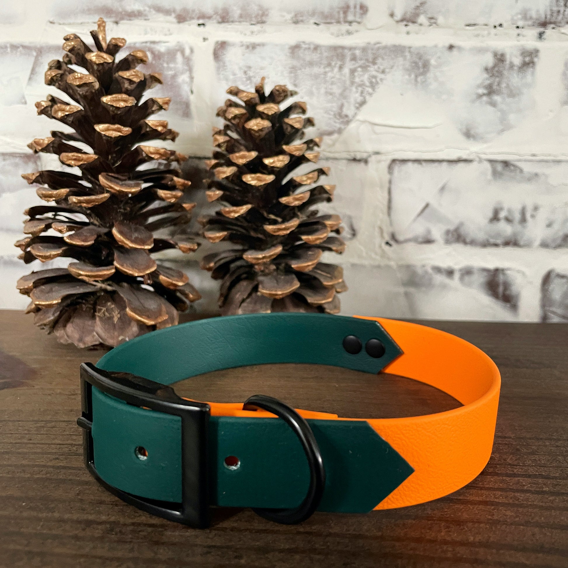 Hunter Green and Orange  - Waterproof Dog Collar
