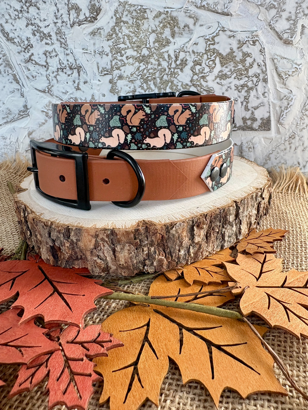 Squirrel Patrol  - Waterproof Dog Collar
