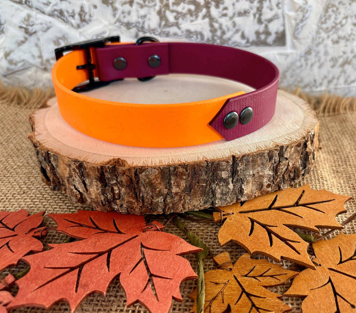 Burgundy and Mango  - Waterproof Dog Collar