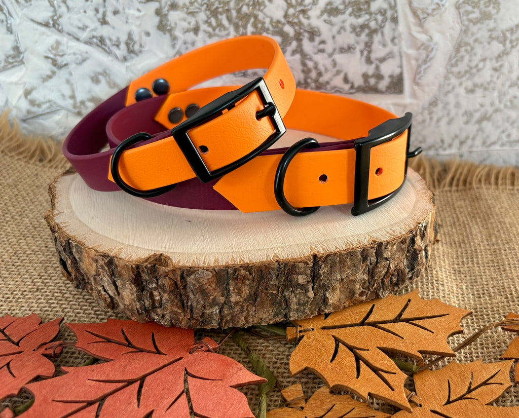 Burgundy and Mango  - Waterproof Dog Collar