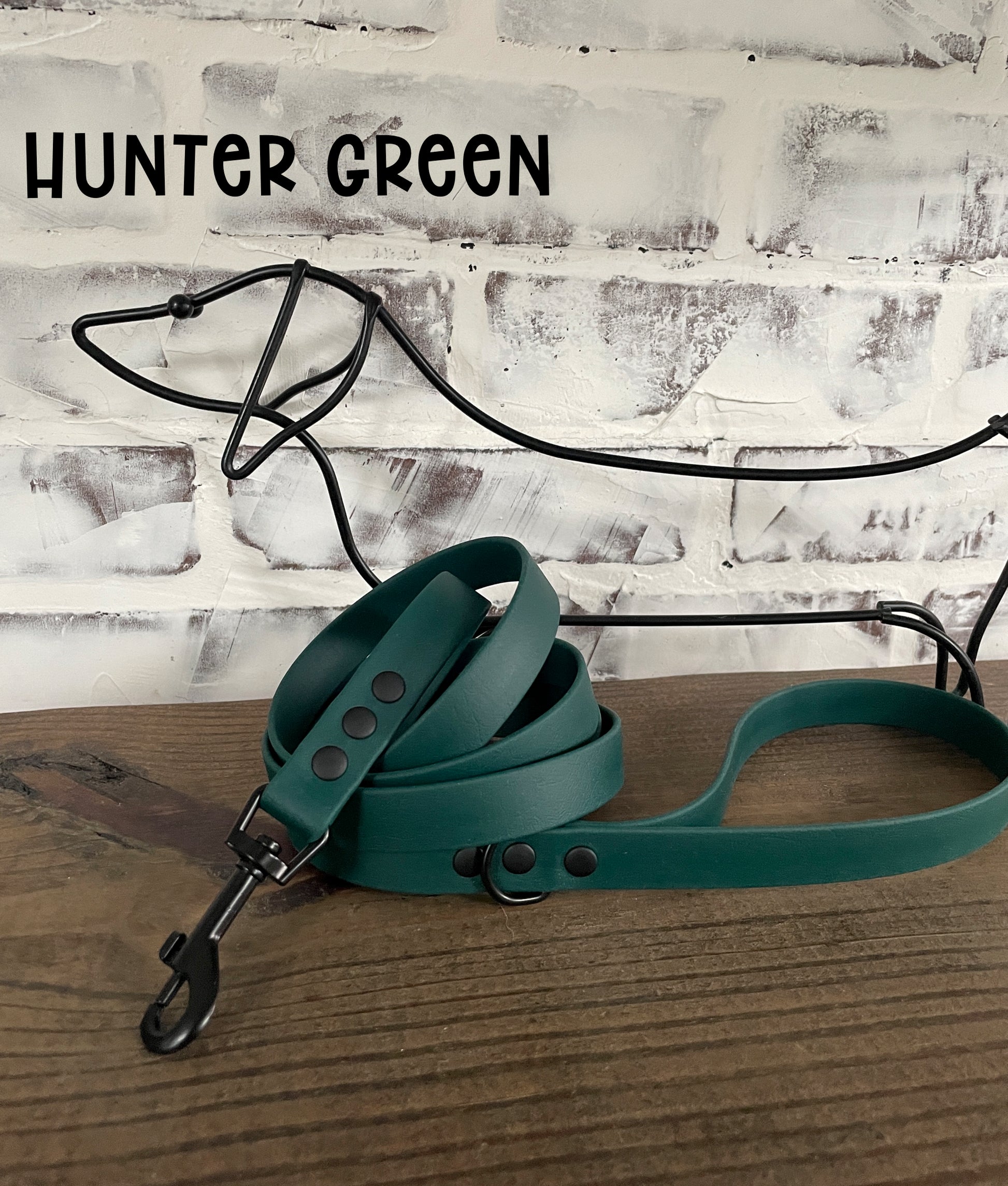 Waterproof Biothane Dog Leash