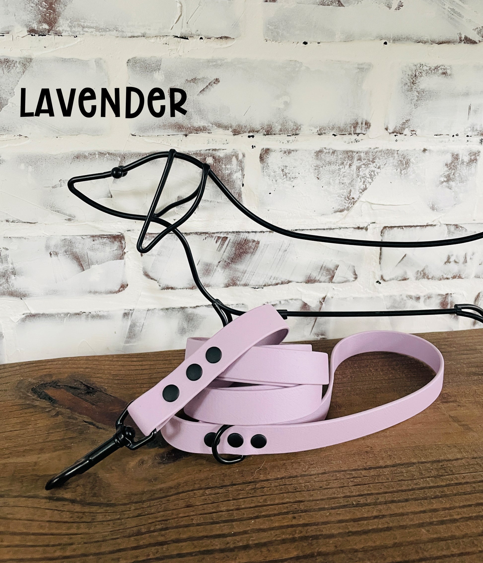 Waterproof Biothane Dog Leash