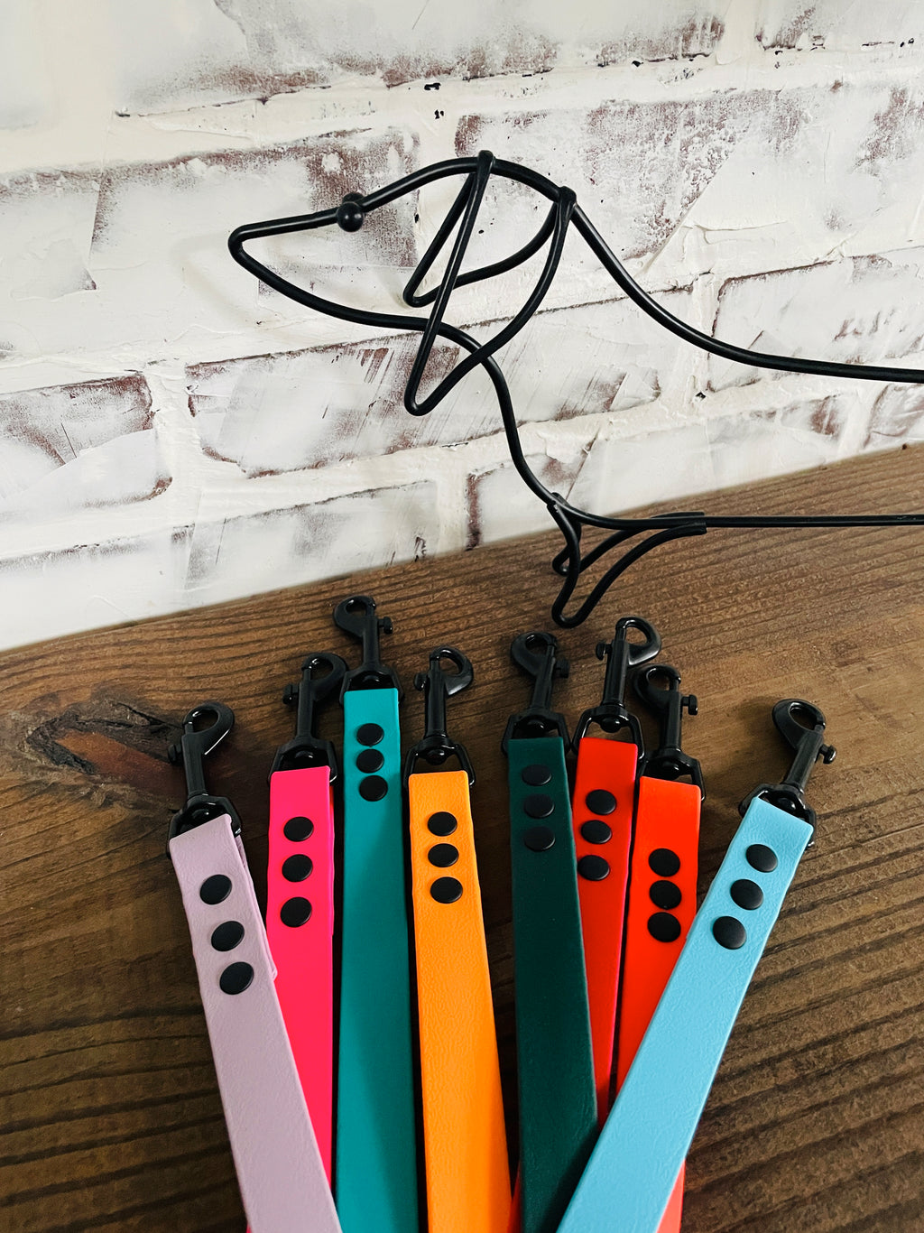 Waterproof Biothane Dog Leash