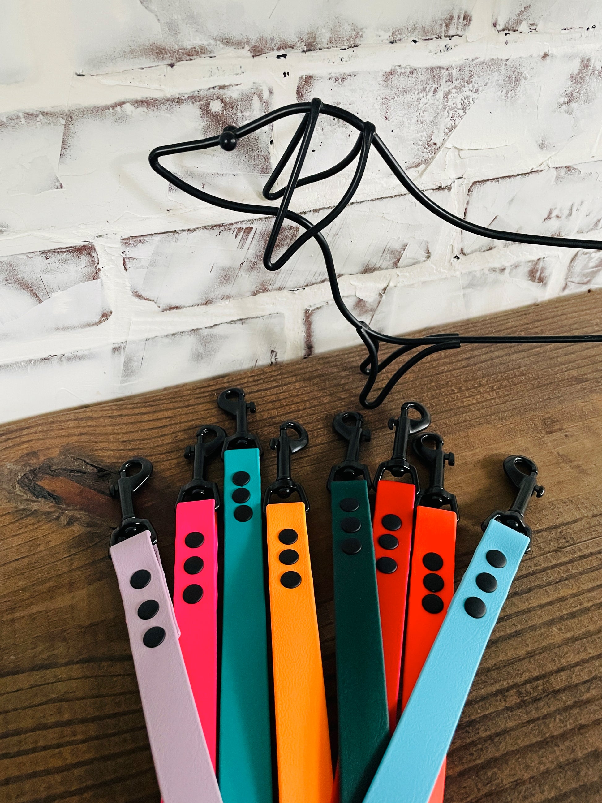 Waterproof Biothane Dog Leash
