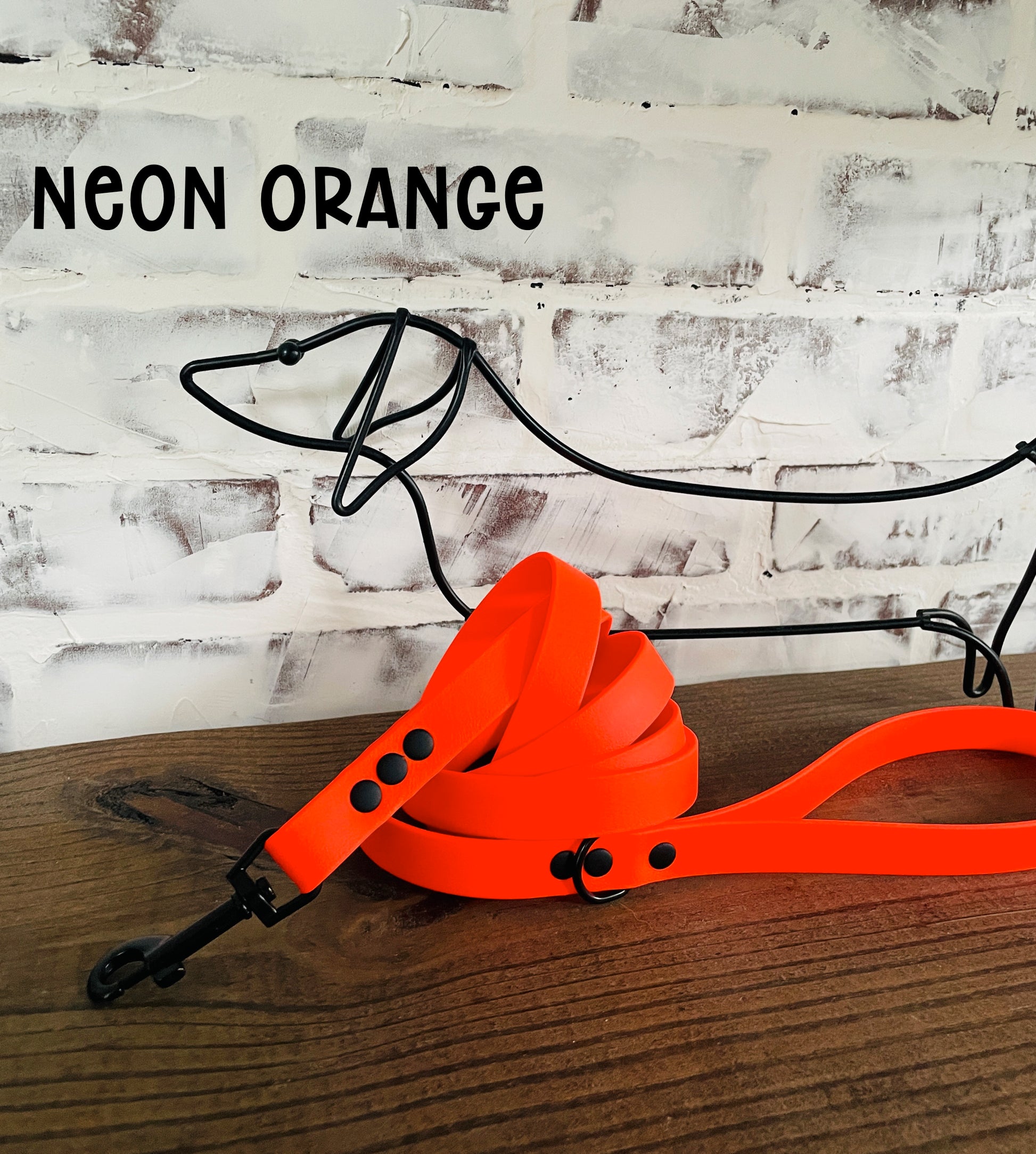 Waterproof Biothane Dog Leash
