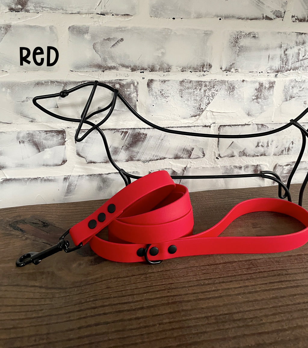 Waterproof Biothane Dog Leash