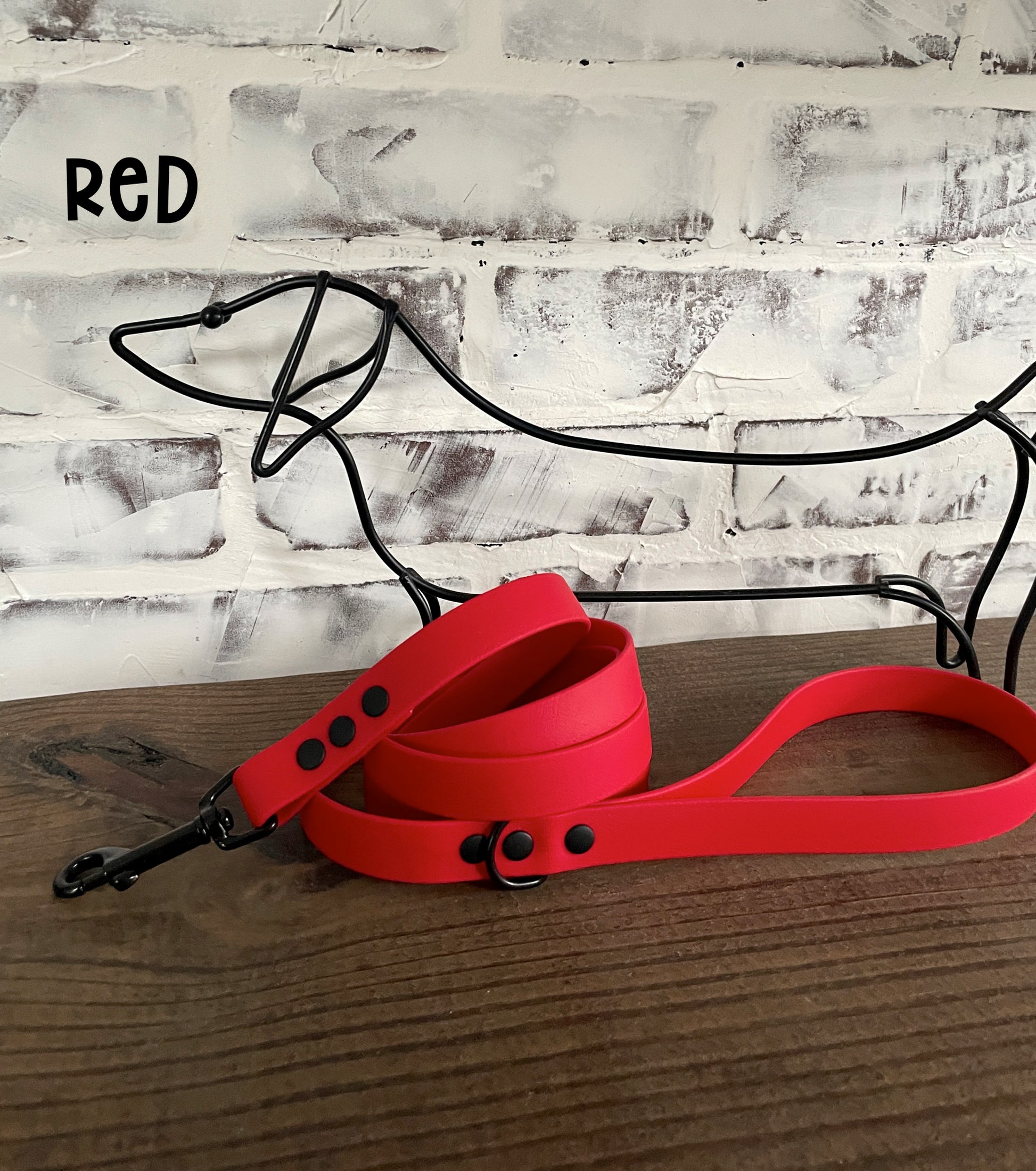 Waterproof Biothane Dog Leash