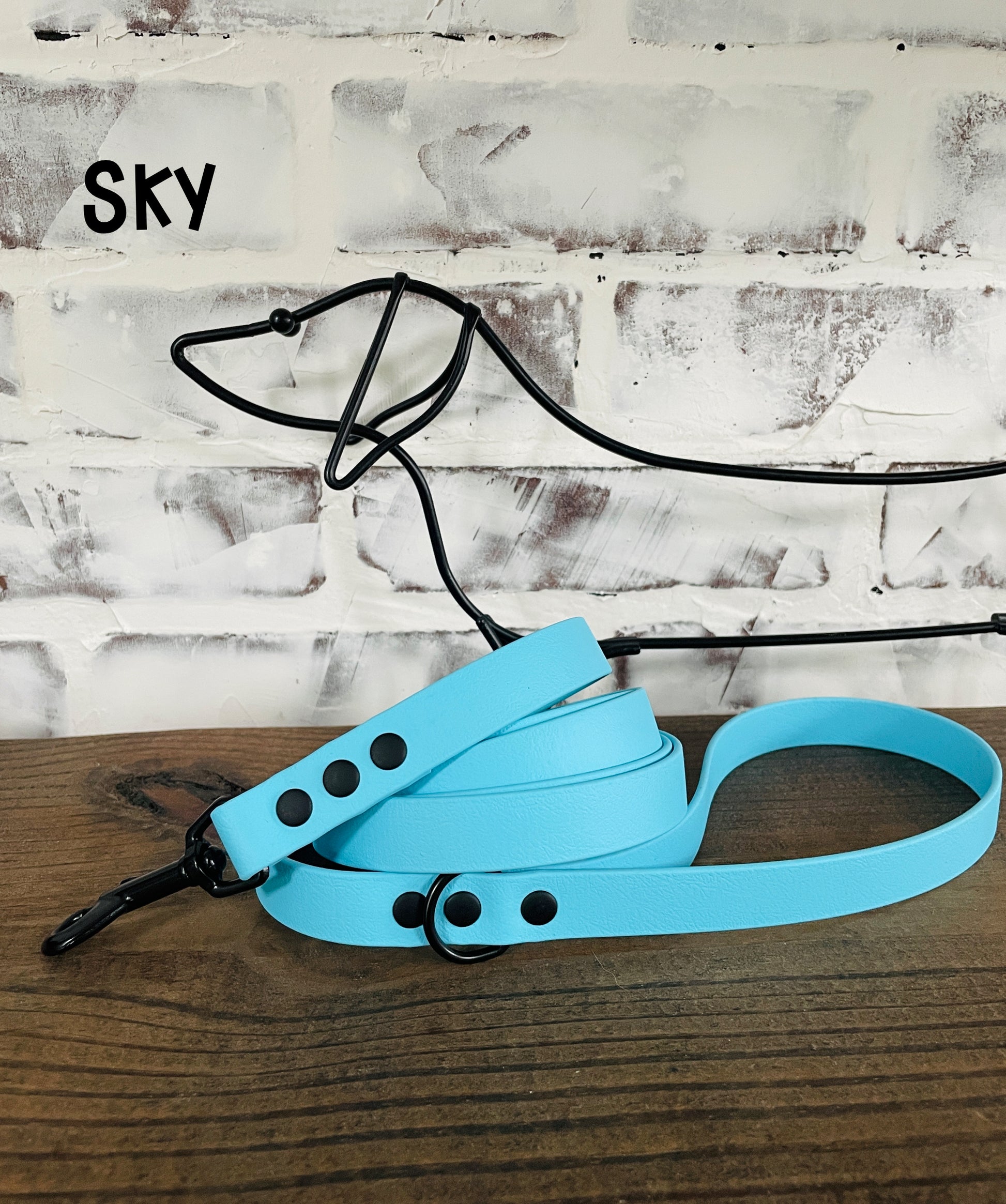 Waterproof Biothane Dog Leash