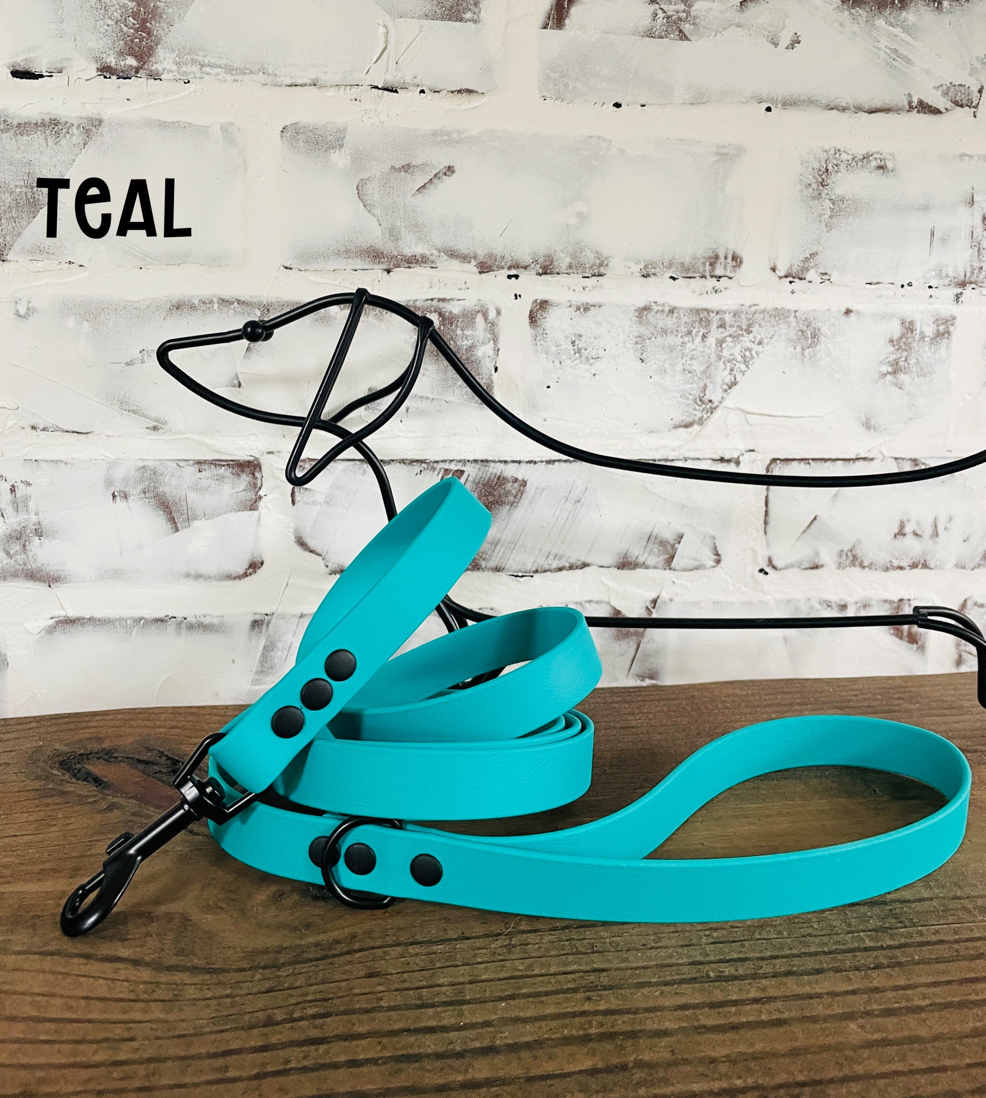 Waterproof Biothane Dog Leash