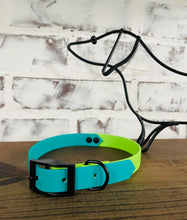 Load image into Gallery viewer, Teal and Lime - Waterproof Dog Collar
