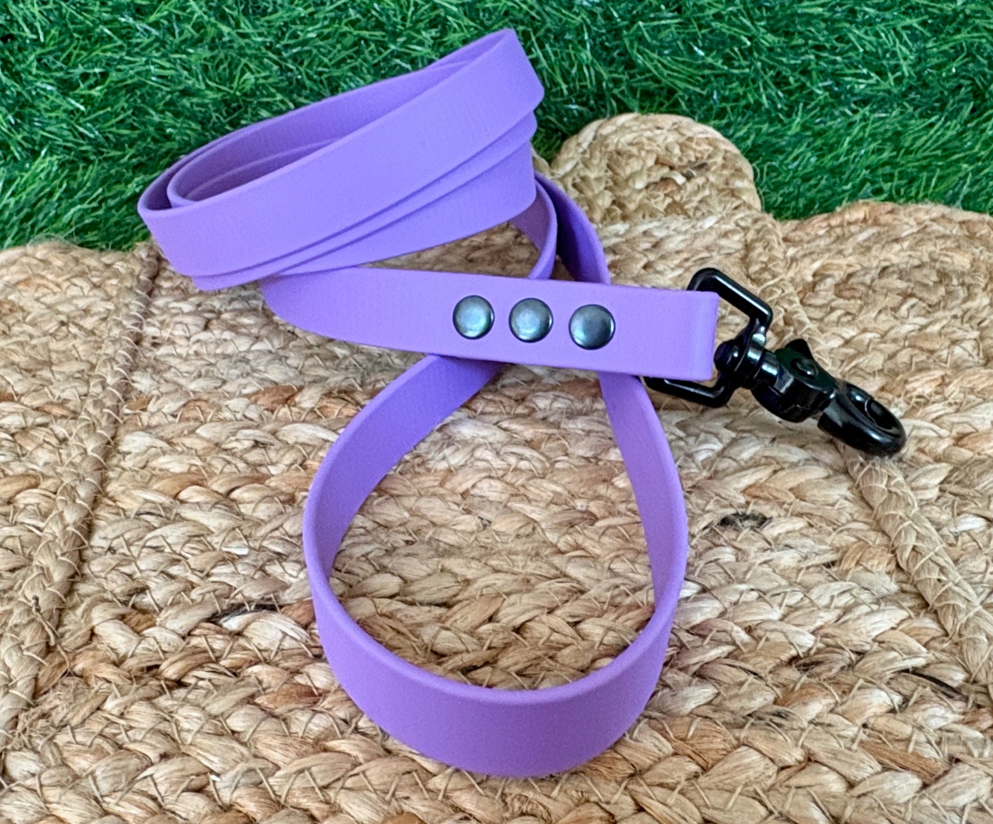 3/4" Waterproof Biothane Dog Leash