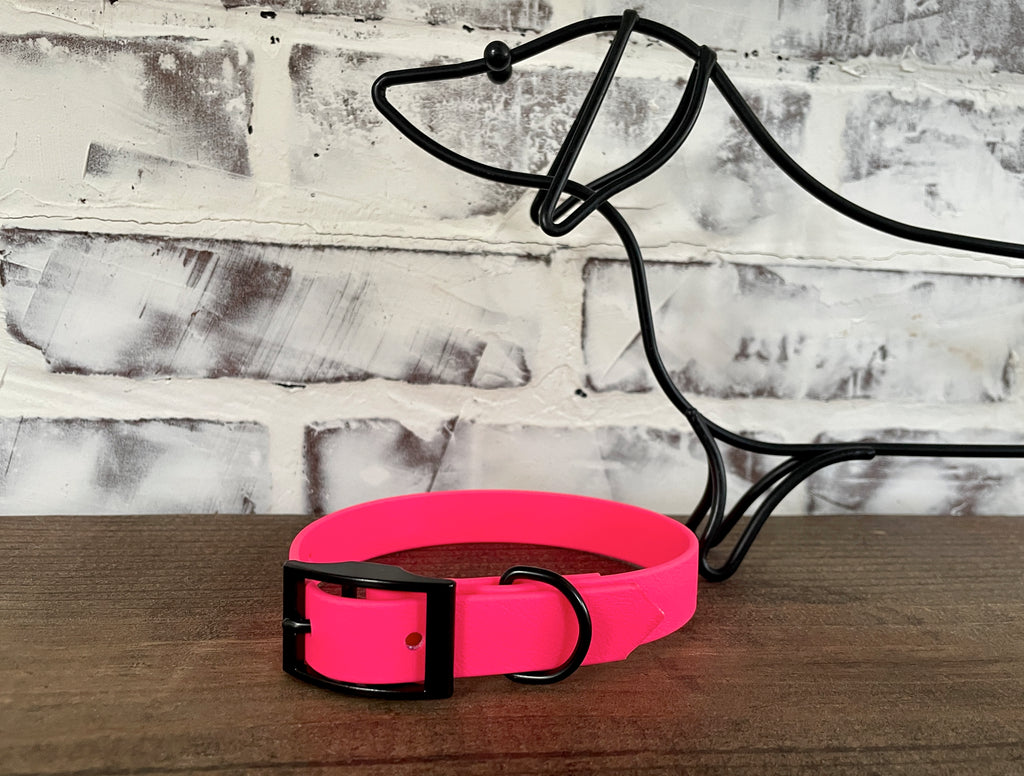 Waterproof Biothane Dog Collar