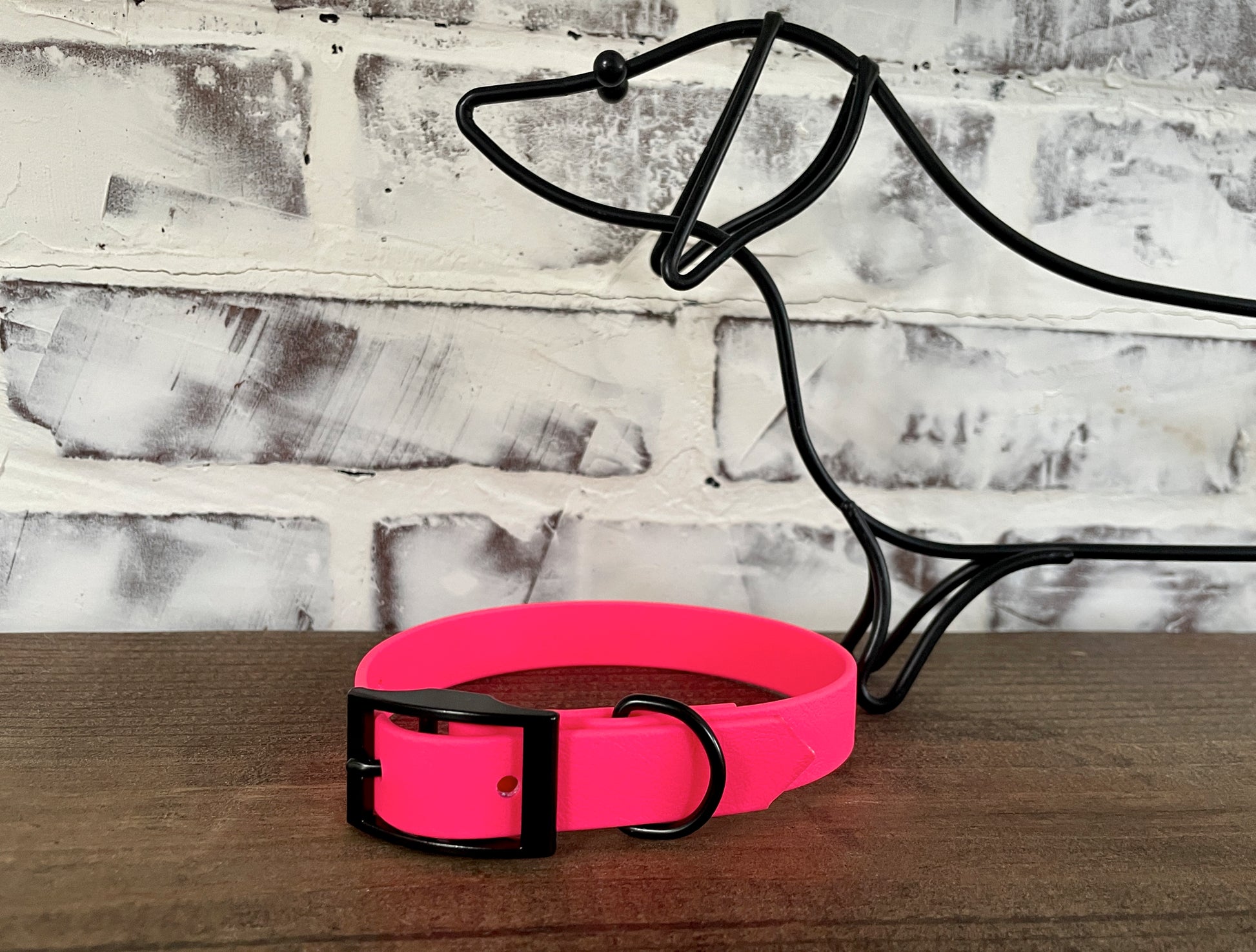 Waterproof Biothane Dog Collar