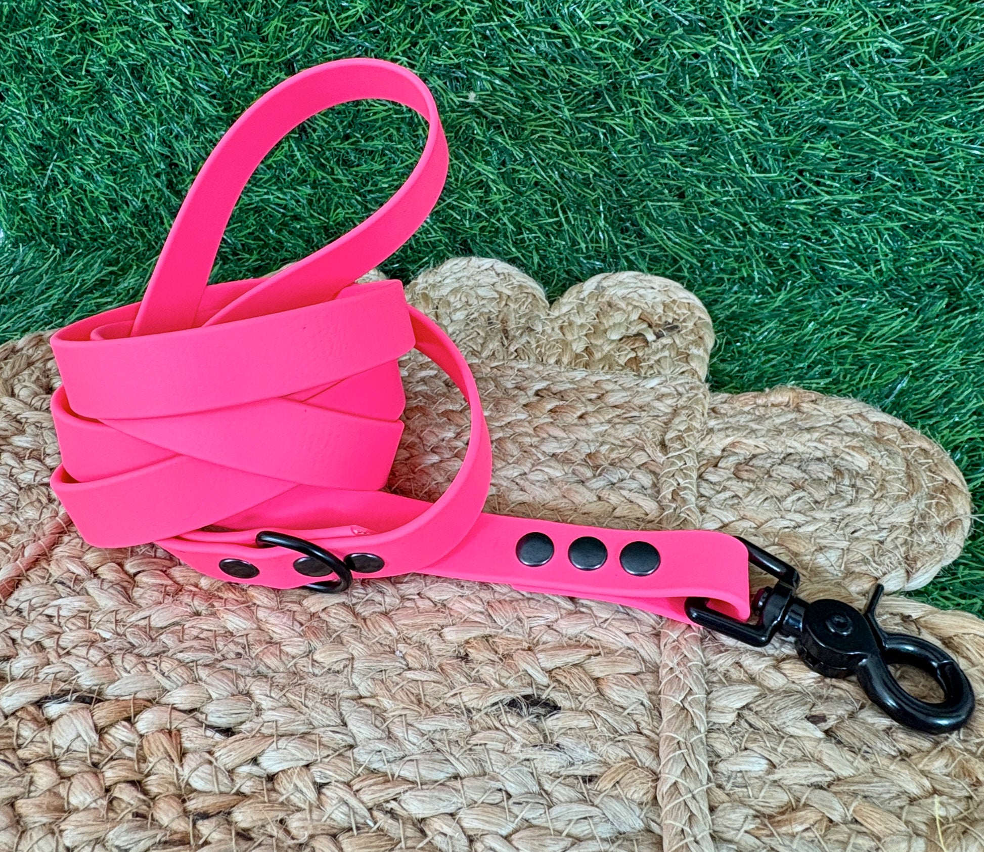 3/4" Waterproof Biothane Dog Leash