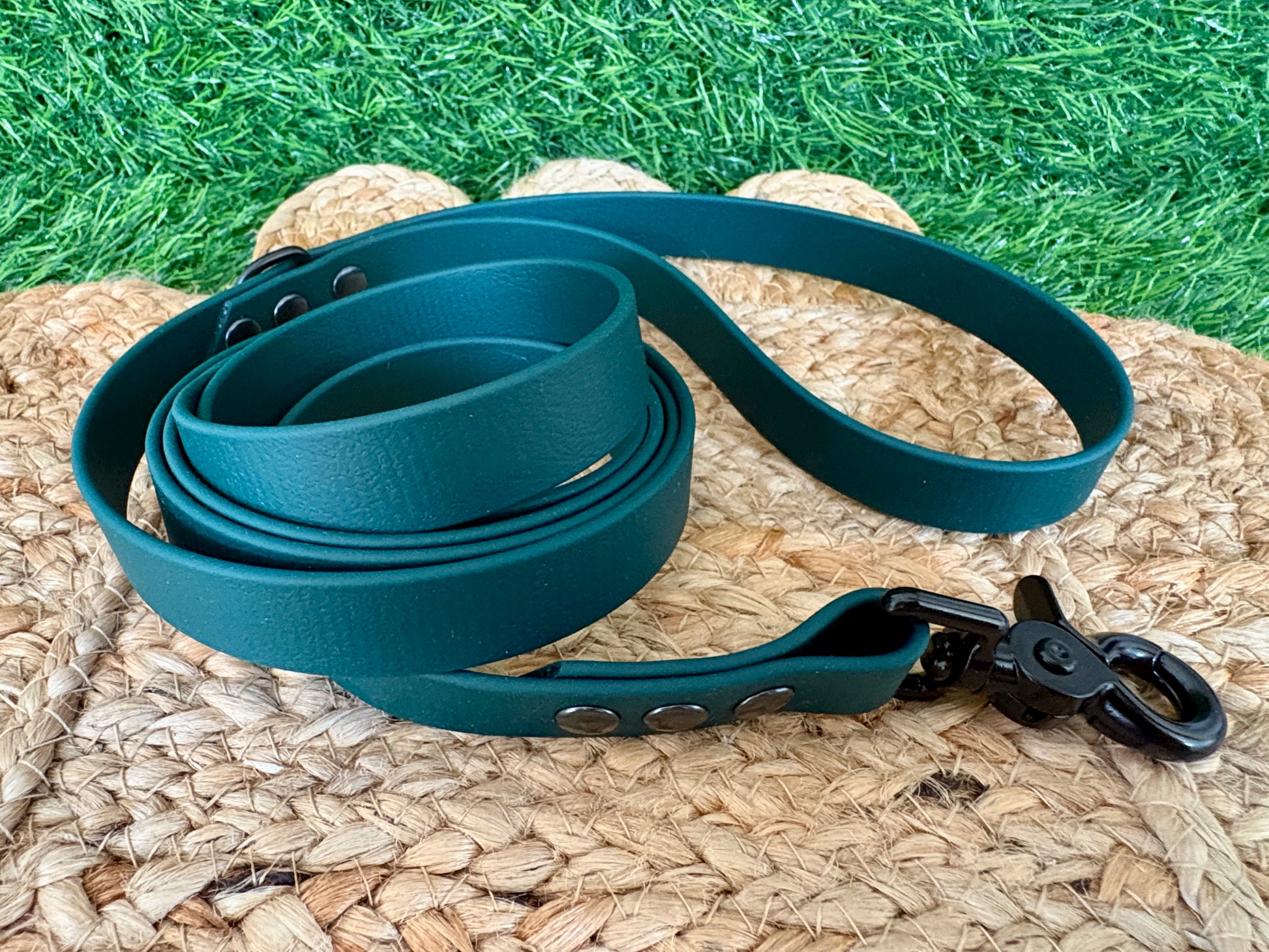 3/4" Waterproof Biothane Dog Leash