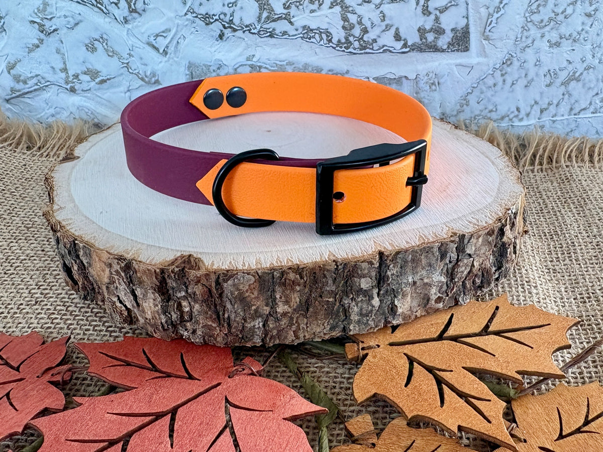 Burgundy and Mango  - Waterproof Dog Collar