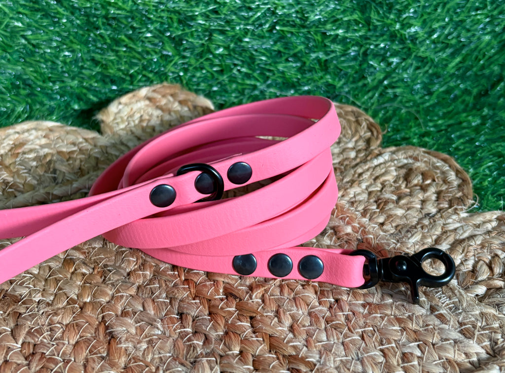 Thin Waterproof Biothane Dog Leash