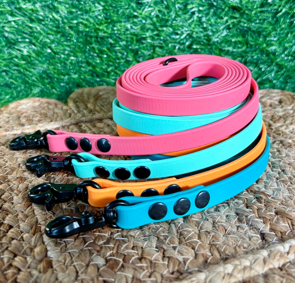 Thin Waterproof Biothane Dog Leash