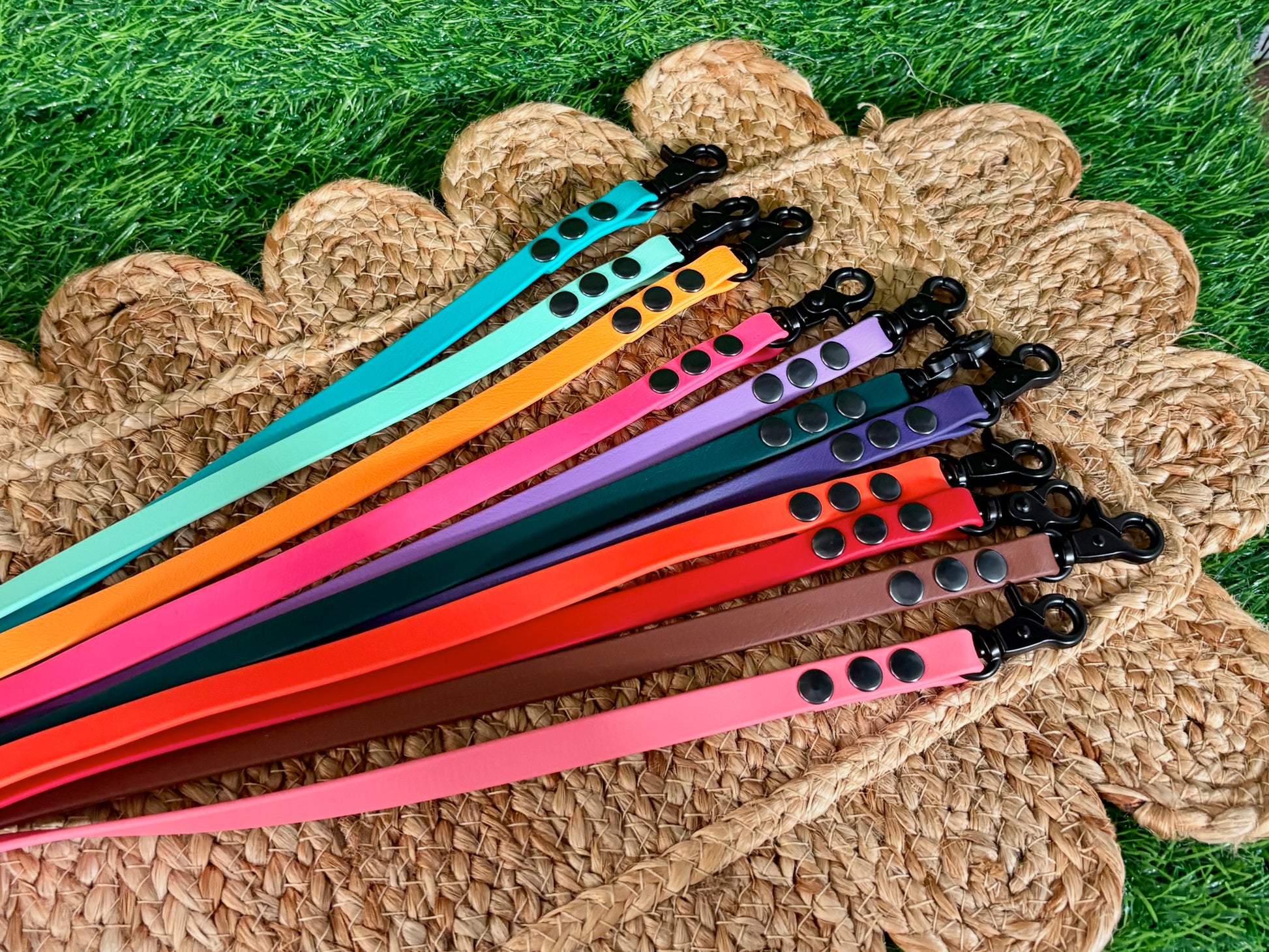 Thin Waterproof Biothane Dog Leash