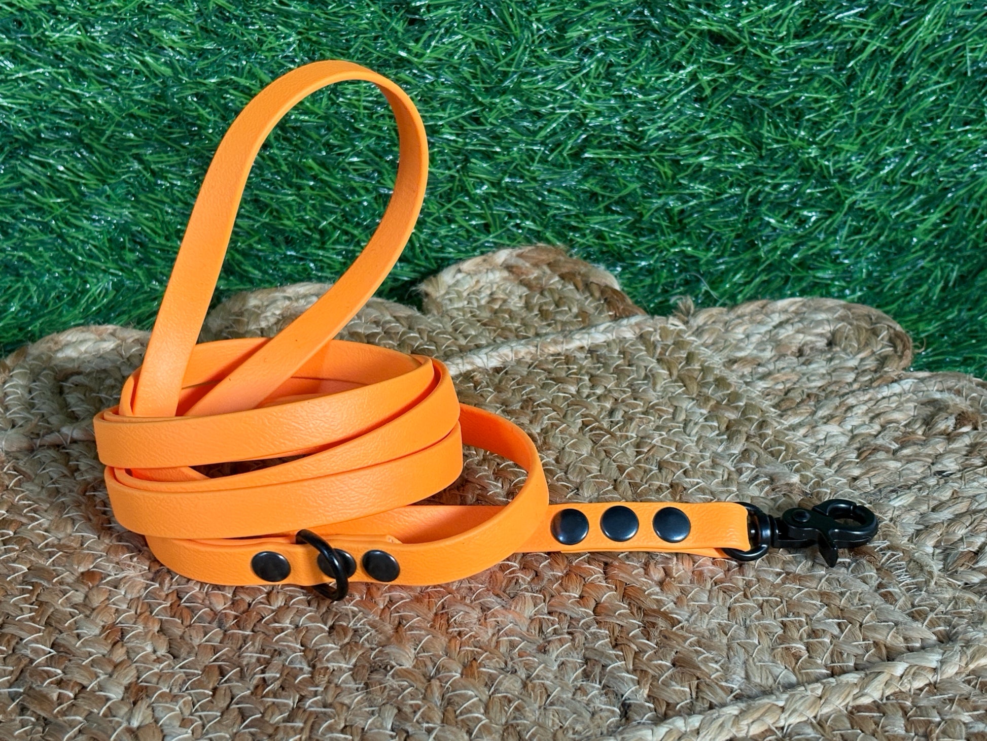 Thin Waterproof Biothane Dog Leash