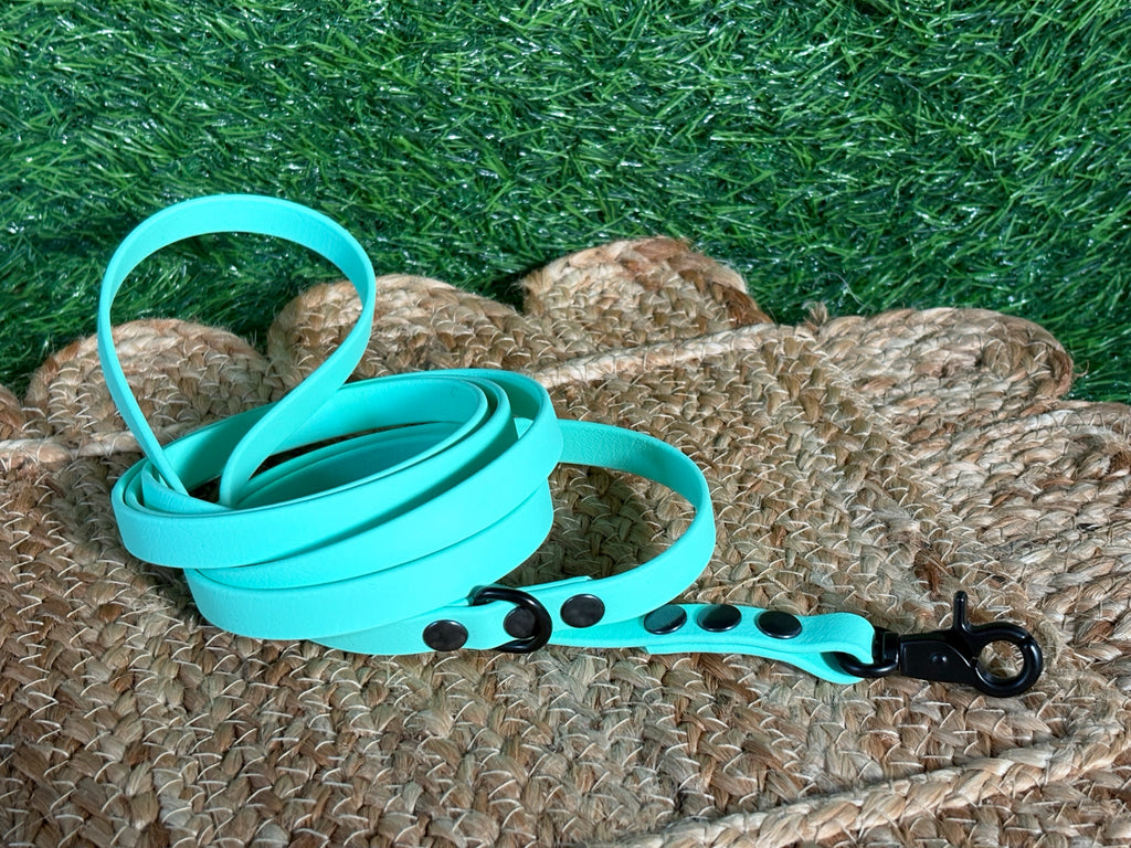 Thin Waterproof Biothane Dog Leash