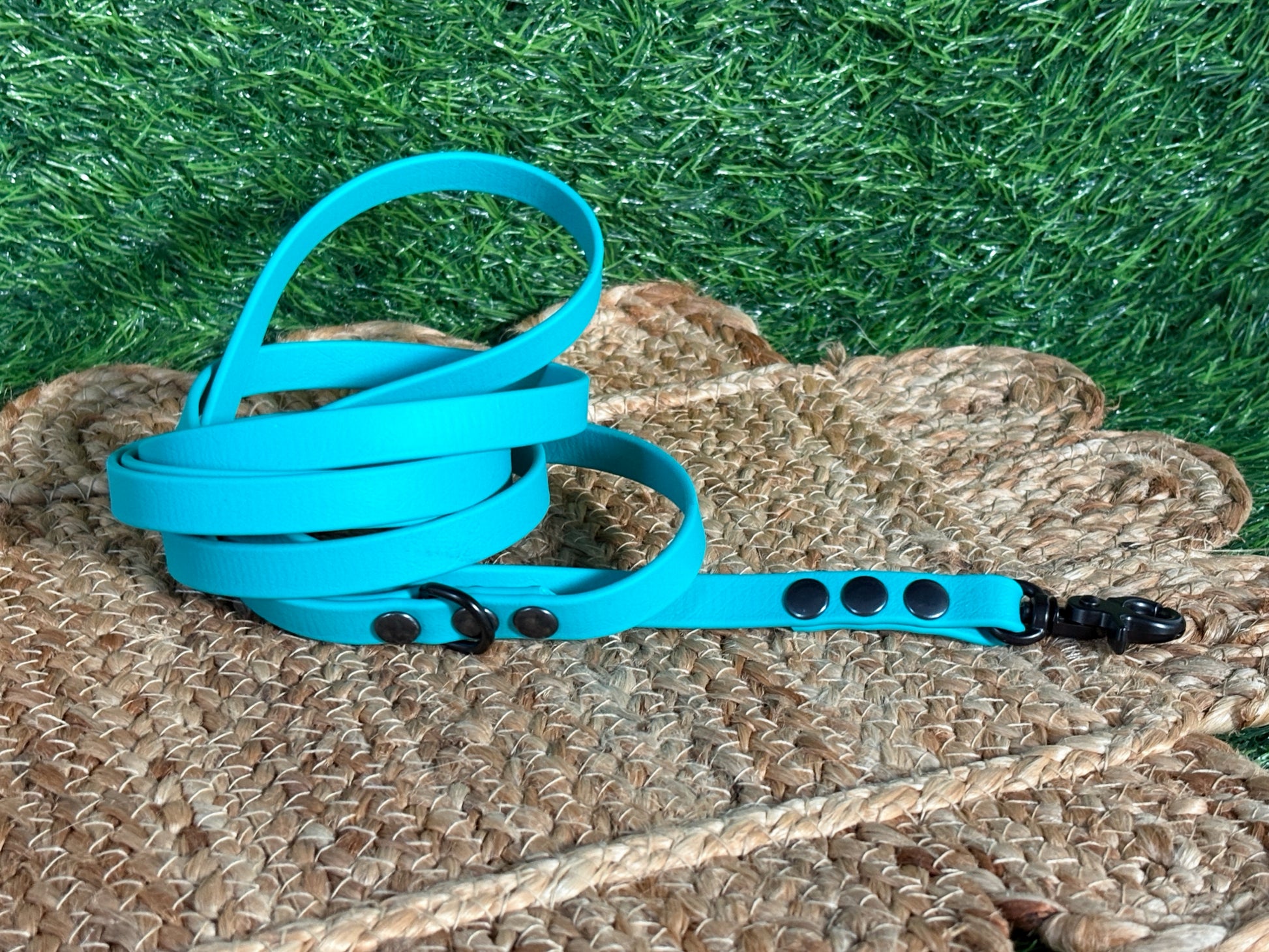 Thin Waterproof Biothane Dog Leash