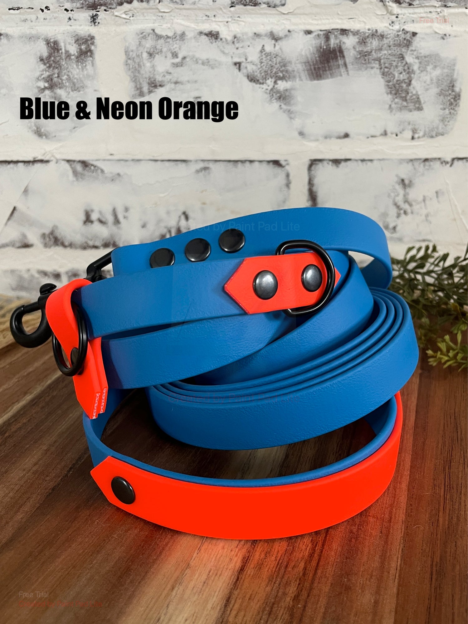 Hands Free • Waterproof Biothane Dog Leash