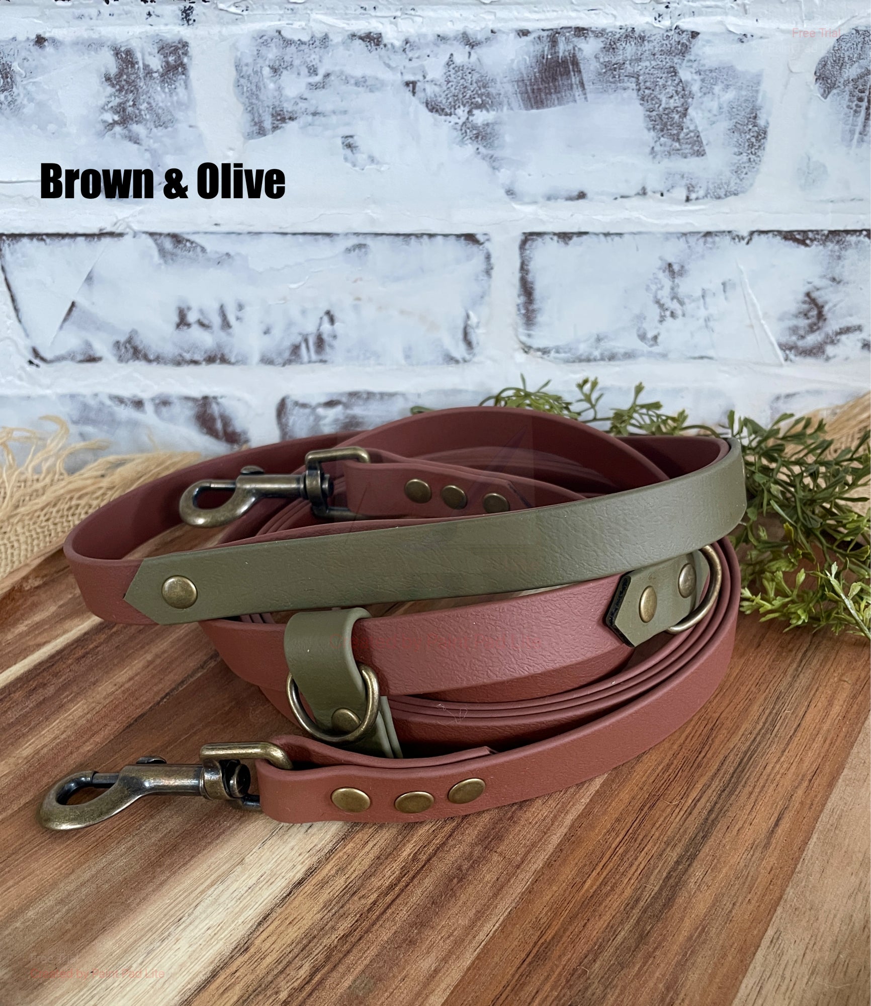 Hands Free • Waterproof Biothane Dog Leash