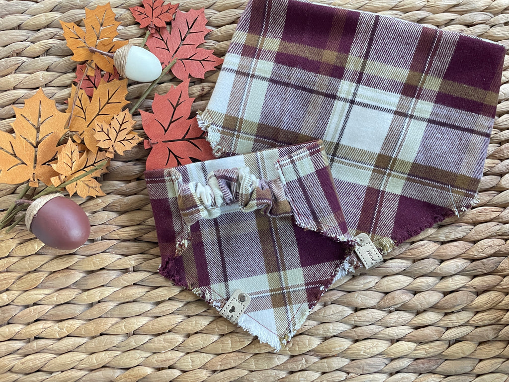 Cozy Cabernet