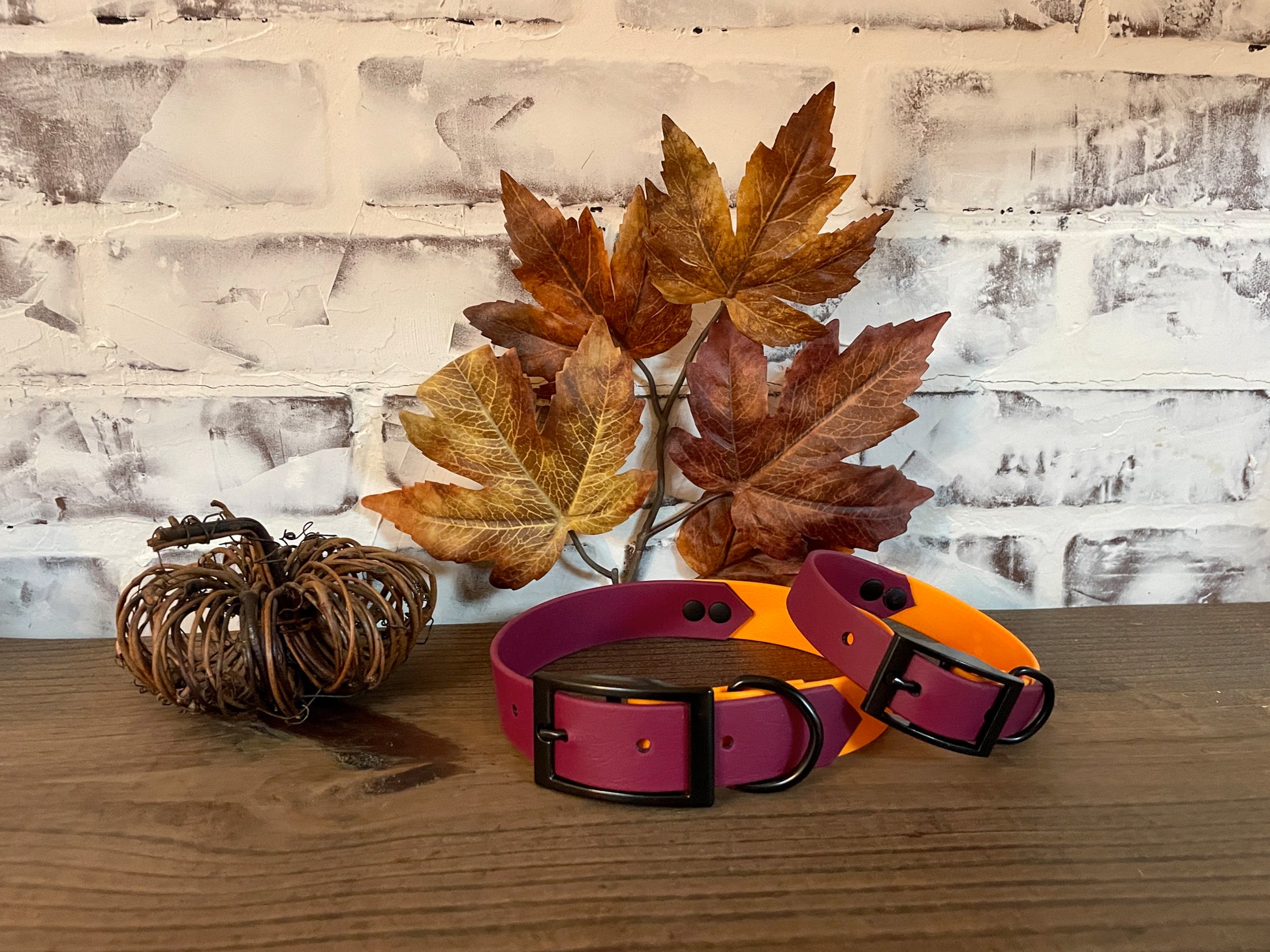 Burgundy and Orange  - Waterproof Dog Collar