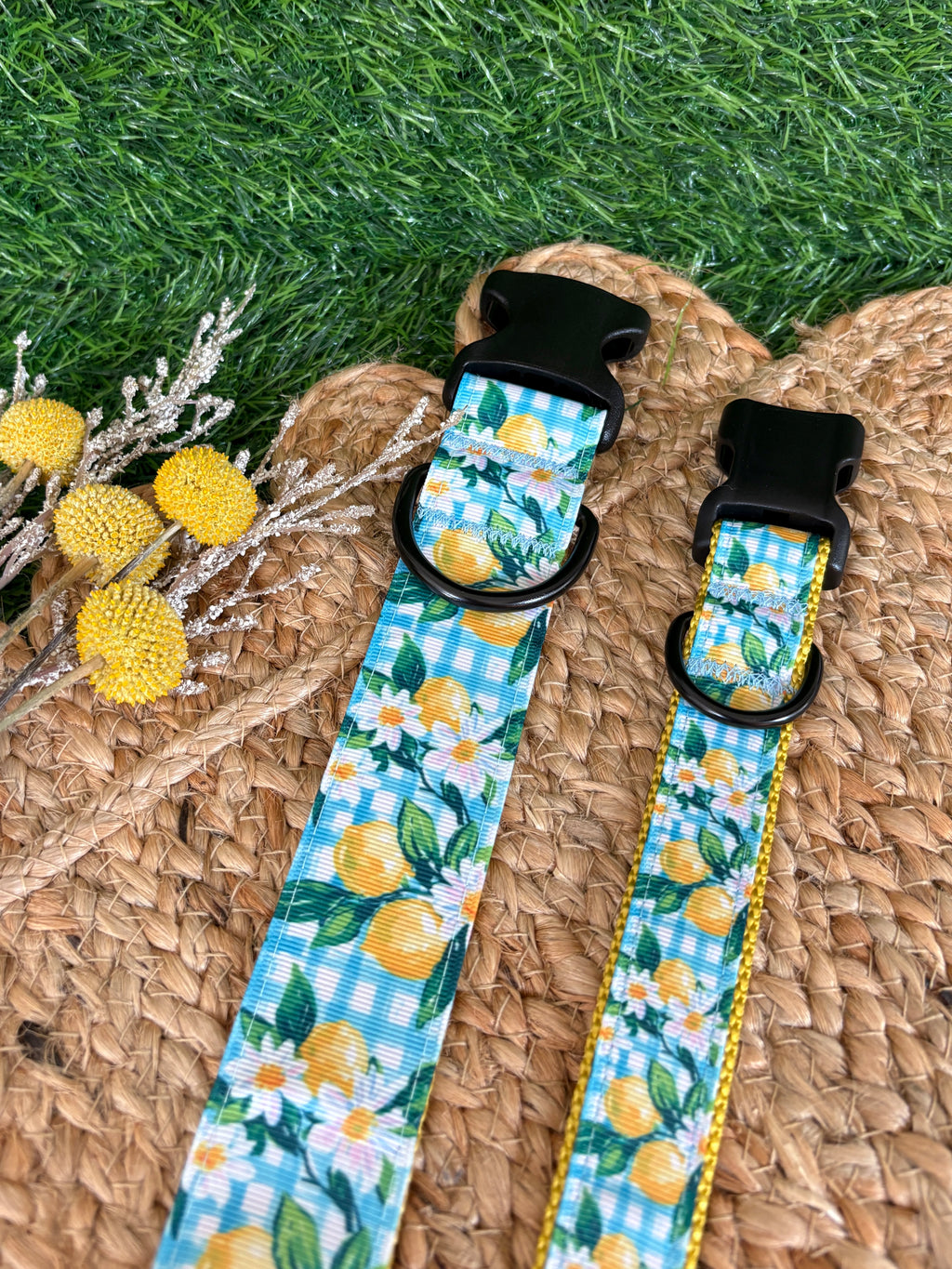 Daisy & Lemons