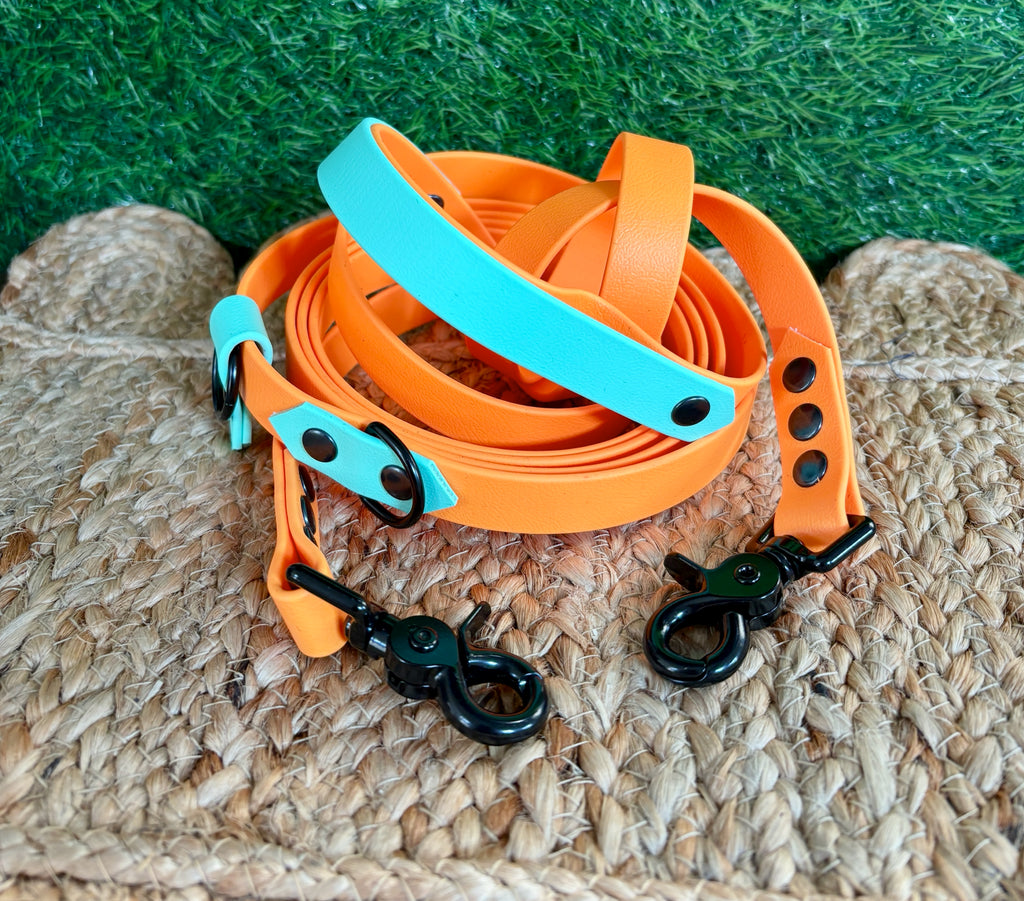 Hands Free • Waterproof Biothane Dog Leash
