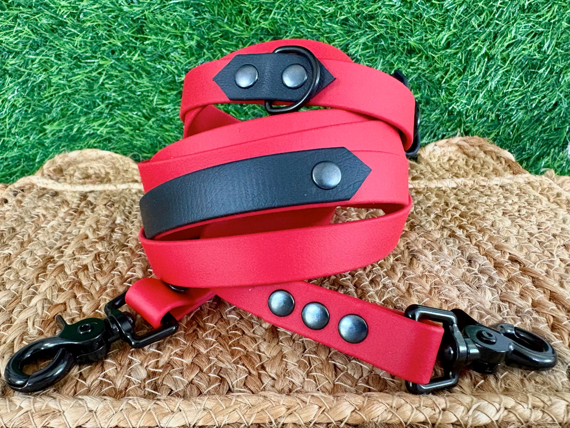 Hands Free • Waterproof Biothane Dog Leash