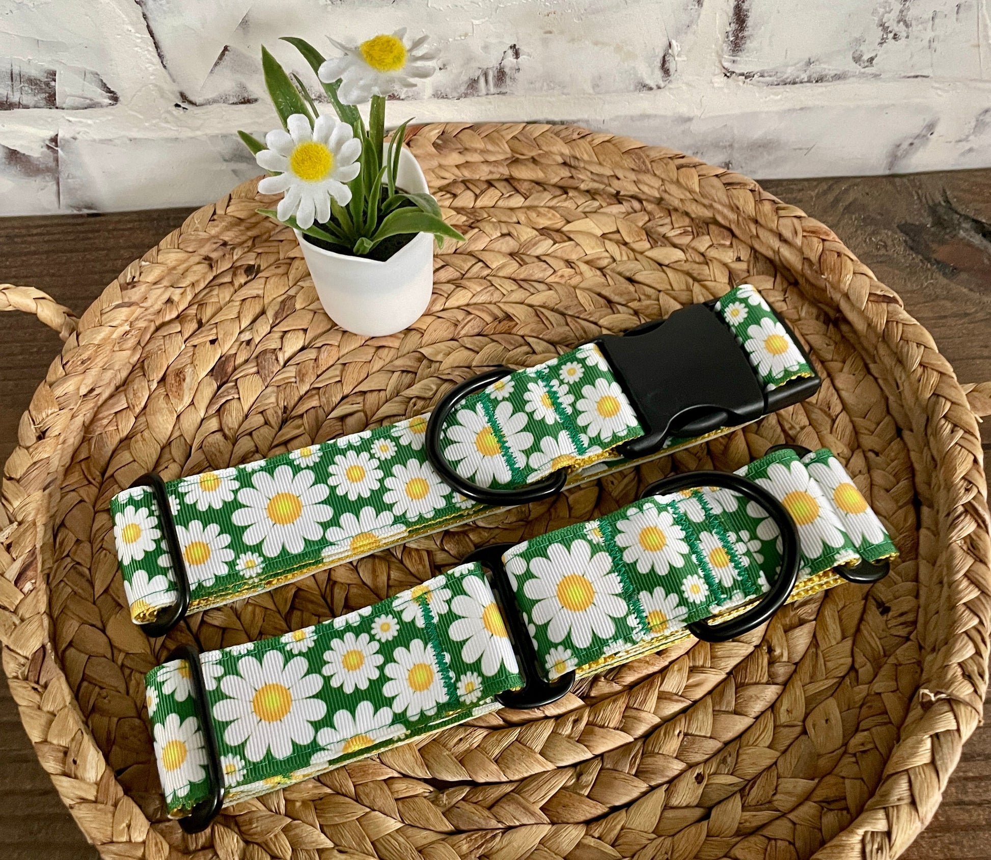 1.5" Daisy