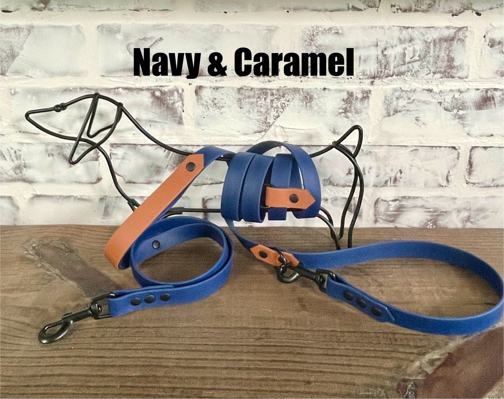 Hands Free • Waterproof Biothane Dog Leash